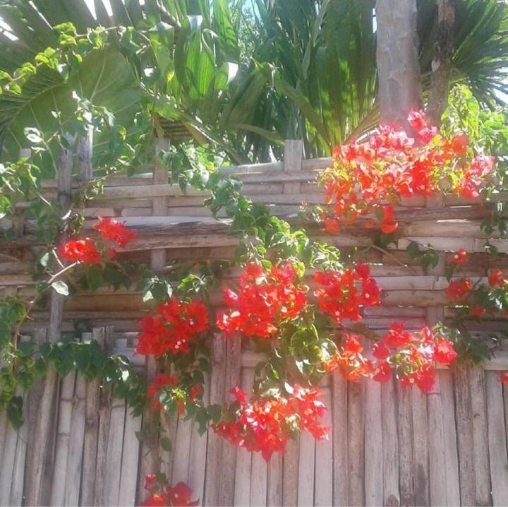 Sunset Moyo Bungalows Moyo Island Exterior foto